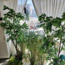 이서방양념치킨 이미지