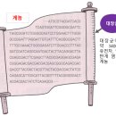 발효의 책 51 게놈은 어떤 생물의 유전자 1 set 이미지