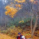 화학산등산로 이미지