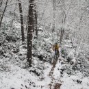 노안초등학교 이미지