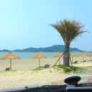 여주-0686 Daum카페