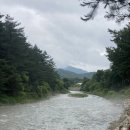 소나무집민박 이미지