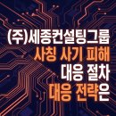 솔로몬행정법률컨설팅 | (주)세종컨설팅그룹 사칭 사기 피해 대응 절차 대응 전략은
