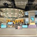 크로플다일다산현대프리미엄 이미지