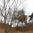 명호관점 Daum카페