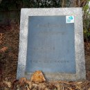 합천약업사 이미지