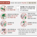 오산복싱＆킥복싱 멀티짐 이미지