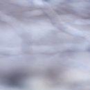 오후반 이미지