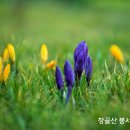 임계중앙교회 이미지