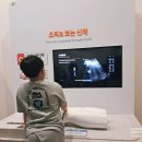 원주역사박물관 | 원주 아이와 가볼만한곳 국립강원전문과학관 특별전시까지 만족했던 과학관