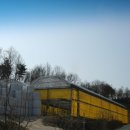 송아목장 이미지