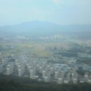 호박1공인중개사사무소 이미지