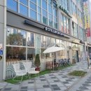 스텔라온