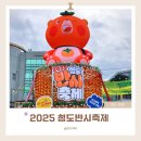 청도버스 | 2025 청도반시축제 주차장 먹거리 볼거리 다녀온후기