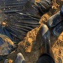 김포농협영농자재 이미지