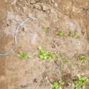 우암농장 이미지