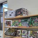 나비축산 | 경기도 가볼만한 전시 살아있는 해외 곤충 보러오세요 in 여주아울렛 근처