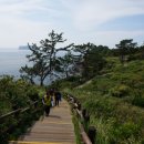 Walk along the coast to discover Jeju’s beauty 이미지