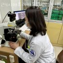 24시아프리카동물메디컬센터 네이버블로그