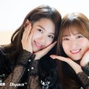 예호 이미지