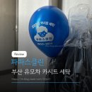 부산 카시트세탁 파파스클린 내돈내산 솔직후기