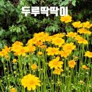 담은하다 이미지