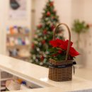 메디벨의원 이미지