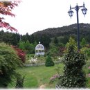 파인트리펜션 이미지