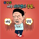 반려동물행동교정사 이미지