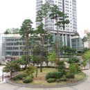 반송동226 이미지