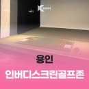 버디 스크린 골프 이미지