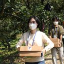 청도군-20 이미지