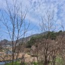 원주굽이길 6코스 고바우길 | #원주굽이길 6코스 고바우길#