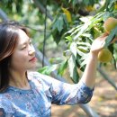 춘향골 이미지
