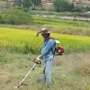 돌쇠농장 이미지