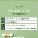 웰포장디자인