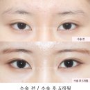 서연성형외과의원 이미지