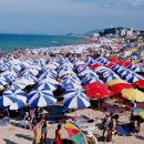 경포 관광안내소 이미지