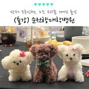 청십자산업동물병원 | 반려 모루인형 만들기, 병원 노조 워크숍 70명 인천 호텔 단체 출강