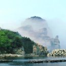 백령도횟집 - 남동구 장도로 67 | 백령도횟집