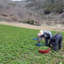비렁길돌담민박 이미지