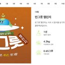 국제그릇