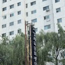 서일체육문화센터 | 강남역 주말 자유수영 서일체육문화센터 내돈내산 후기