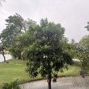 SUMMIT WINDMILL GOLF COURSE 이미지