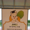 박사마을곰핫도그 티스토리