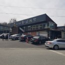 원골 | 금산 맛집 원골 식당 어죽 내 돈 내산 솔직 후기