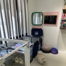 바르다 펫 부산센텀점 이미지