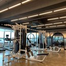 스파리스 이미지