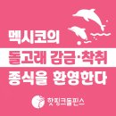 [핫핑크돌핀스 논평] 멕시코의 돌고래 감금착취 종식을 환영한다 이미지