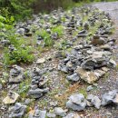 5월24일(토) 영월군 한반도, 소나무, 장릉, 선돌 여행후기. 이미지